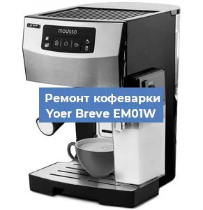 Замена прокладок на кофемашине Yoer Breve EM01W в Белгороде